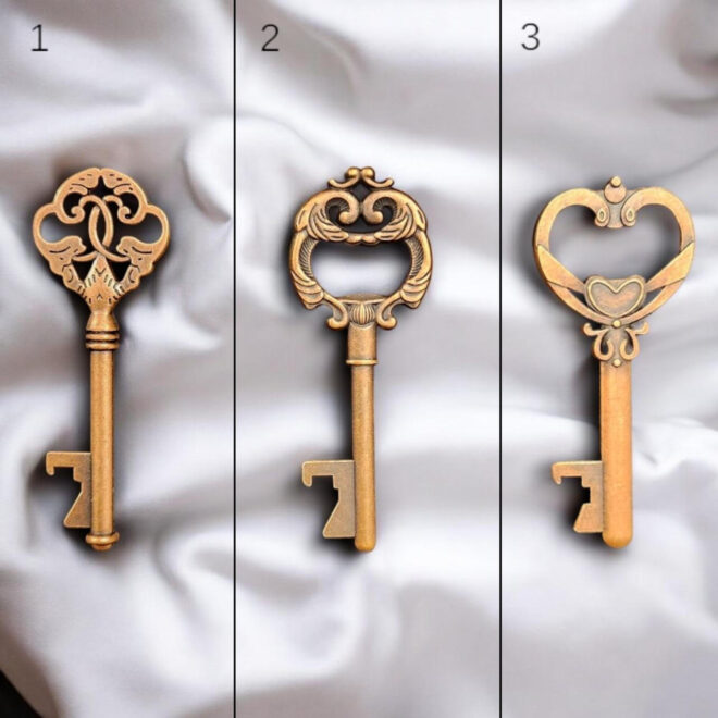 Set of 10 Bronze Key – 3 Models